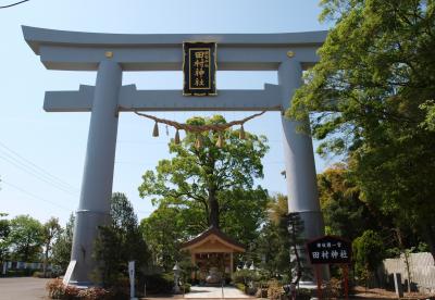 讃岐一宮　田村神社参詣