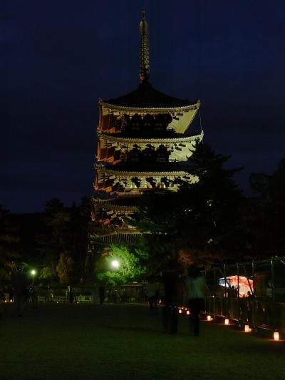 2010年　奈良公園の燈火会