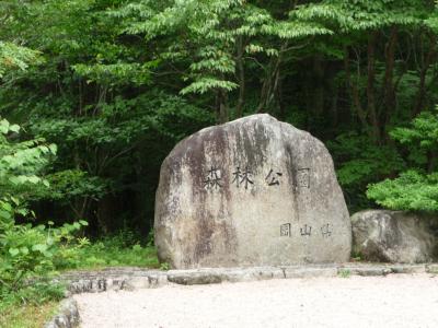 夏の森林公園