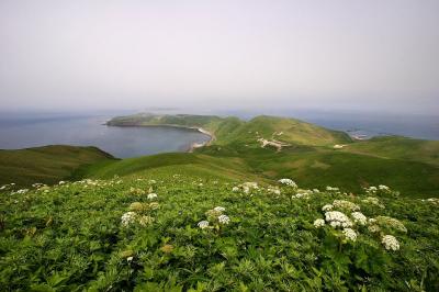 2010年　7月　北海道周遊ドライブ　花の浮島　礼文島ー2日目