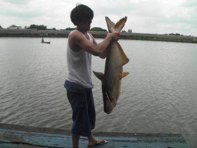 カンボジアとタイ旅(６)【バンコク・巨大魚釣堀】