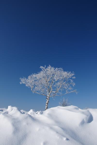 2010.02北海道登別のたび　ウィンザーホテル洞爺湖