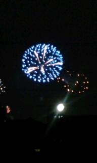 2010.08.10せいせき多摩川花火大会