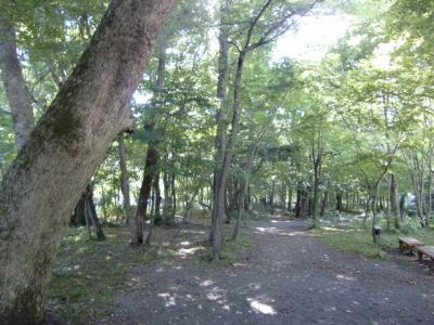 奥入瀬～十和田湖～弘前～白神　台風は避けられたらしい①