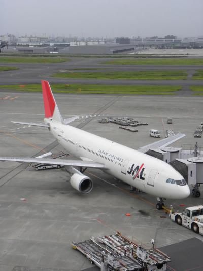 航空機・ヘリコプター 1/200 JAL A300-600R JA016D Sed64eca3d2b0480fb62b7ba6eb0b3