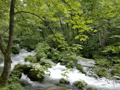 奥入瀬～十和田湖～弘前～白神　台風は避けられたらしい②