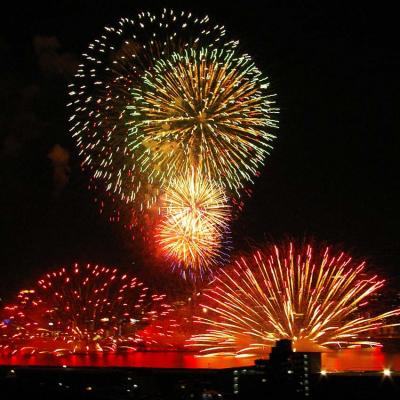 【大阪】淀川花火と観光　10年８月７～８日