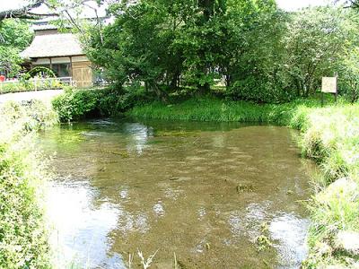 夏の山中湖~忍野八海