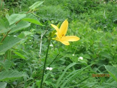 苗場山登山