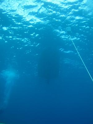 2010年 3年ぶり4回目のグアム《ダイビング1日目編》