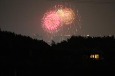 第23回東京湾大華火祭