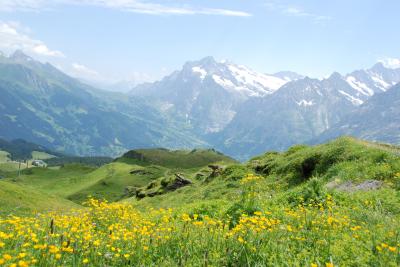 スイス・イタリア旅行２０１０　④　スイス　メンリッヒェン～クライネシャイデック　ハイキング