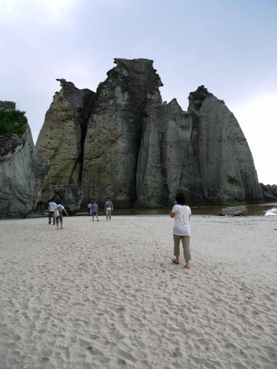 2010夏旅⑥ ～極楽浄土の浜　仏ヶ浦　汗と蜂との格闘～