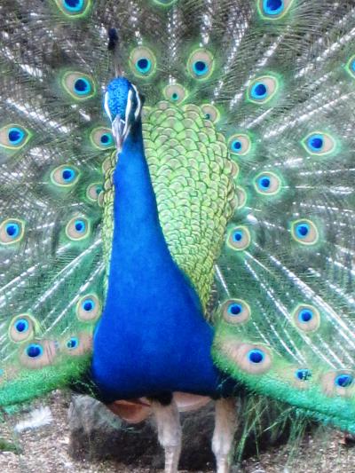 神戸の安価なホテルで避暑旅行