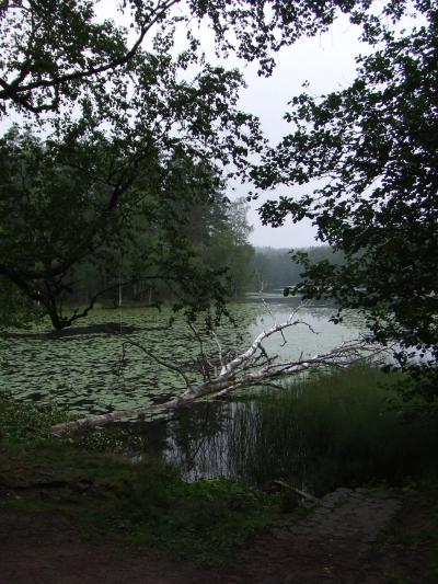 2010年夏　かもめ食堂ツアー