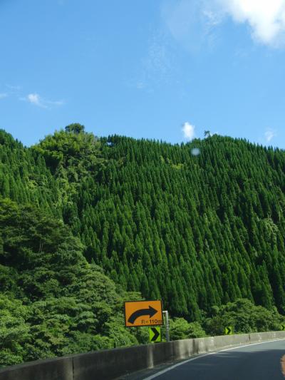 心のふるさと出雲 １ 雲南　加茂岩倉遺跡～八岐大蛇公園～須佐神社など