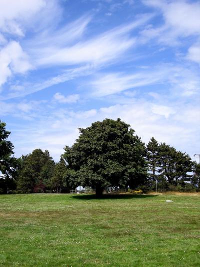 バンクーバーちょこっと観光2