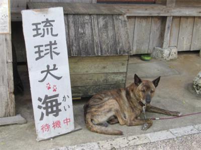 リゾ婚ついでに沖縄観光！③