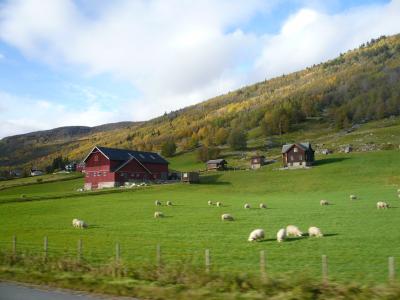 移動だらけの北欧4ヶ国8日間の旅☆4日目