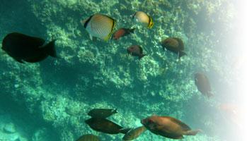 2009沖縄旅行～ANAインターコンチネンタル万座