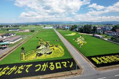 今年は　「　弁慶と牛若丸　」　田舎館村（いなかだてむら）の田んぼアート　/青森県　田舎館村