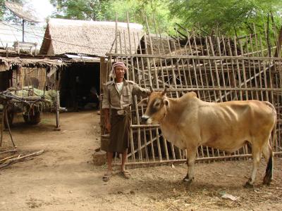 ミャンマーの旅　マグウェイ（Magway)