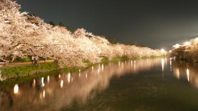 (2008)花見 弘前
