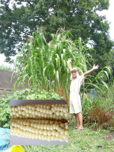 ８６京丹波町秘密基地　秘密基地 無事に有りました・・・。