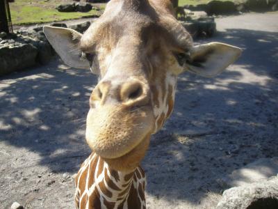 バースデー旅行 東伊豆