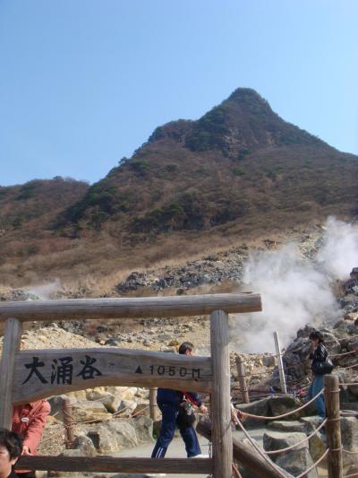 静岡・神奈川へ還暦記念家族旅行♪2日目箱根ロープウェイ・大涌谷編