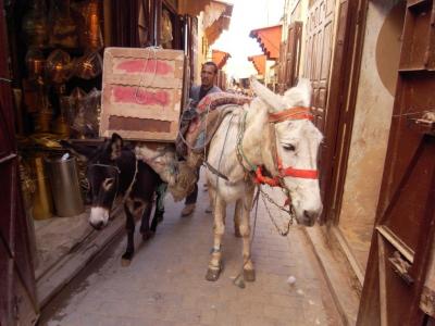 2010フランス～スペイン～モロッコ旅行　11 Fez 理想の迷宮都市