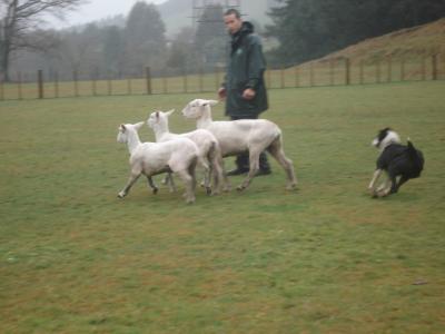 初めてのニュージーランド♪ <2日目*ワイトモ・ロトルア編>