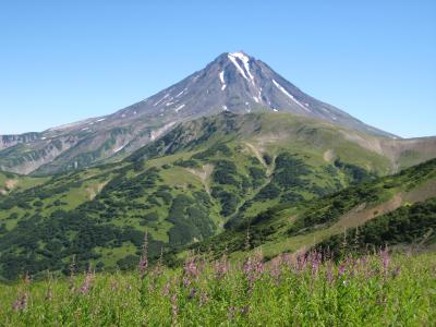 カムチャツカフラワーハイキング