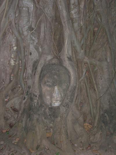 初めての一人旅 ~哀しきアユタヤ・灼熱のウィークエンドマーケット編~