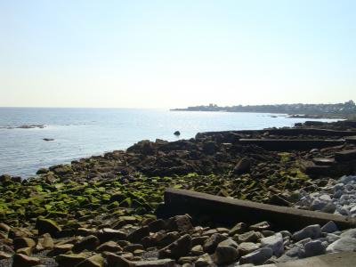 夏は海だ！ダブリンの海を見る短い夏休み②