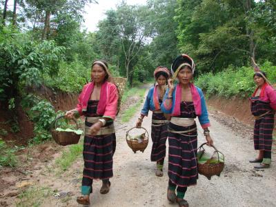 ミャンマーの旅　ポロン族の村へ