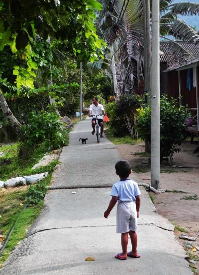 2 ABC Pulau Tioman にゃん流小次郎(仮名）の鮮やかなツバメ返しに遭遇した　　　　