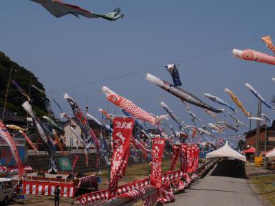 奥能登大谷川の鯉のぼり