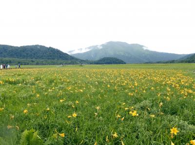 尾瀬~2010ニッコウキスゲの咲く頃~
