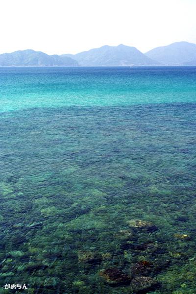 五島列島へ 2010　猫と離島へ移住する