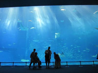 4歳から87歳までの、沖縄家族旅行☆