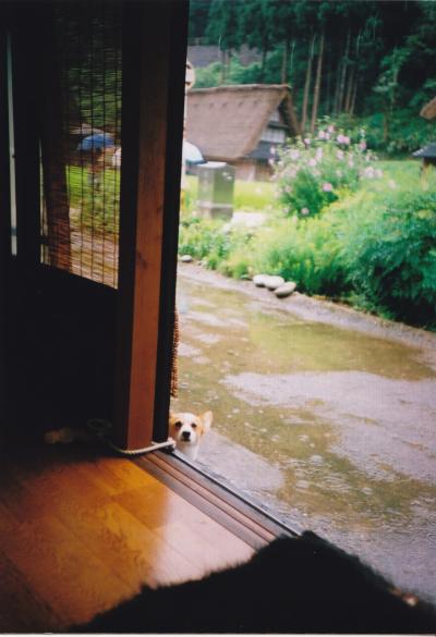 雨の五箇山　with Lomo LC-A