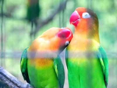 夏の動物たち～徳山動物園～