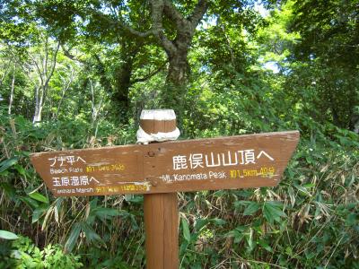 日帰りハイク　鹿俣山編