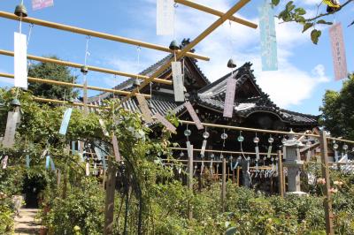 奈良県橿原市のおふさ観音風鈴まつり