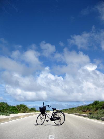 南の東の北にある小さな島の旅 -2010(北大東島)-