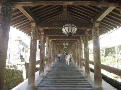 2010奈良の長谷寺 登廊に魅せられて