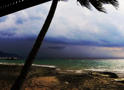 4 ABC Pulau Tioman にゃん流小次郎(仮名）の鮮やかなツバメ返しに遭遇した　　　　