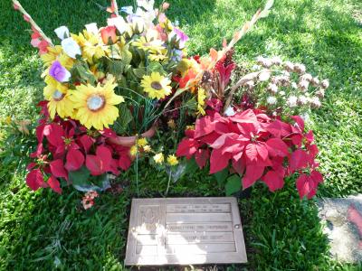 2008 北米→南米→北米の旅No.4　日系人で溢れるサンパウロ