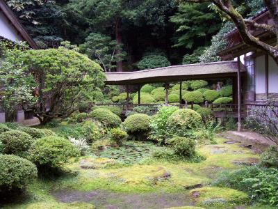 隠れた名勝光久寺